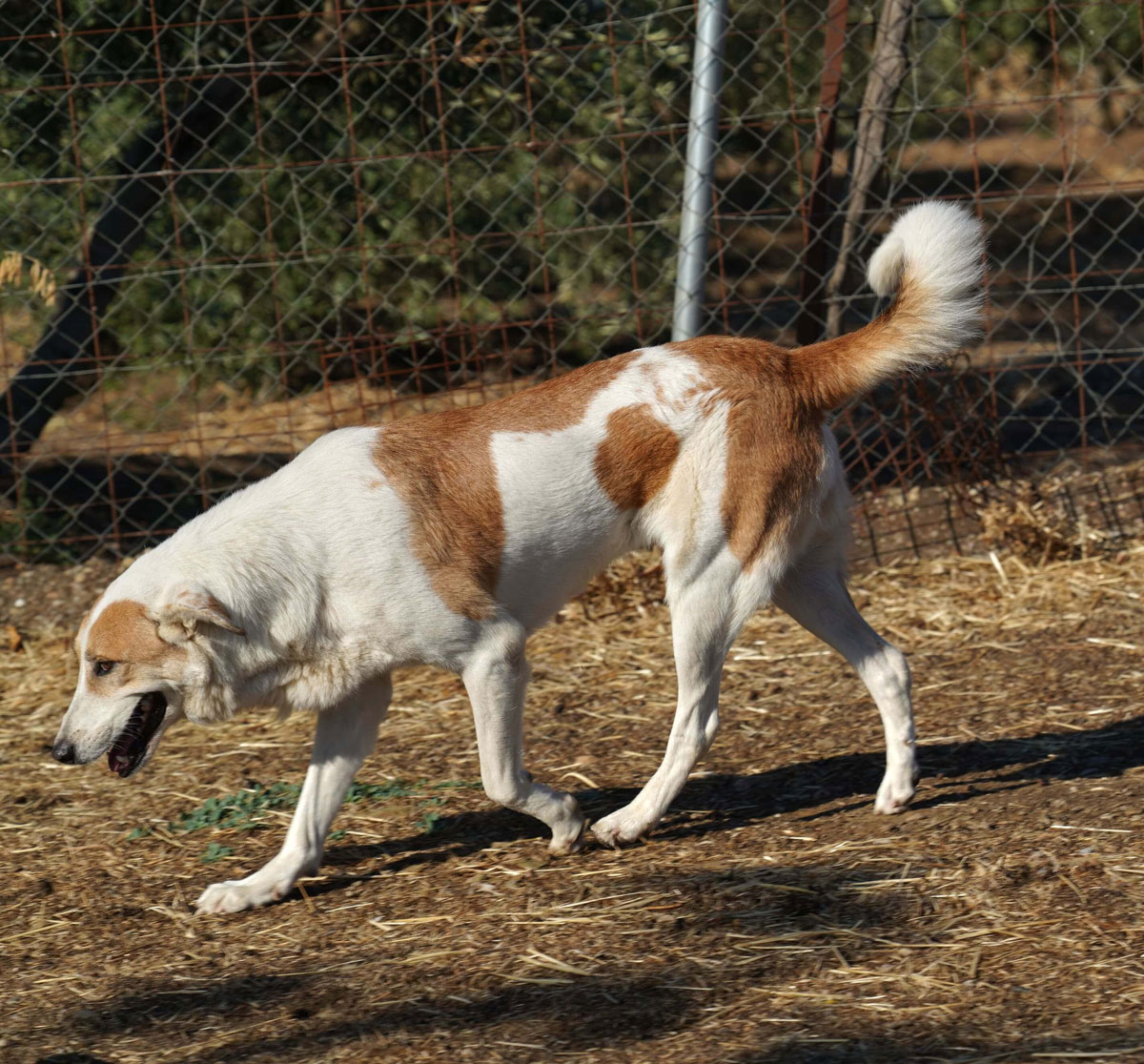 neues Foto November 2025