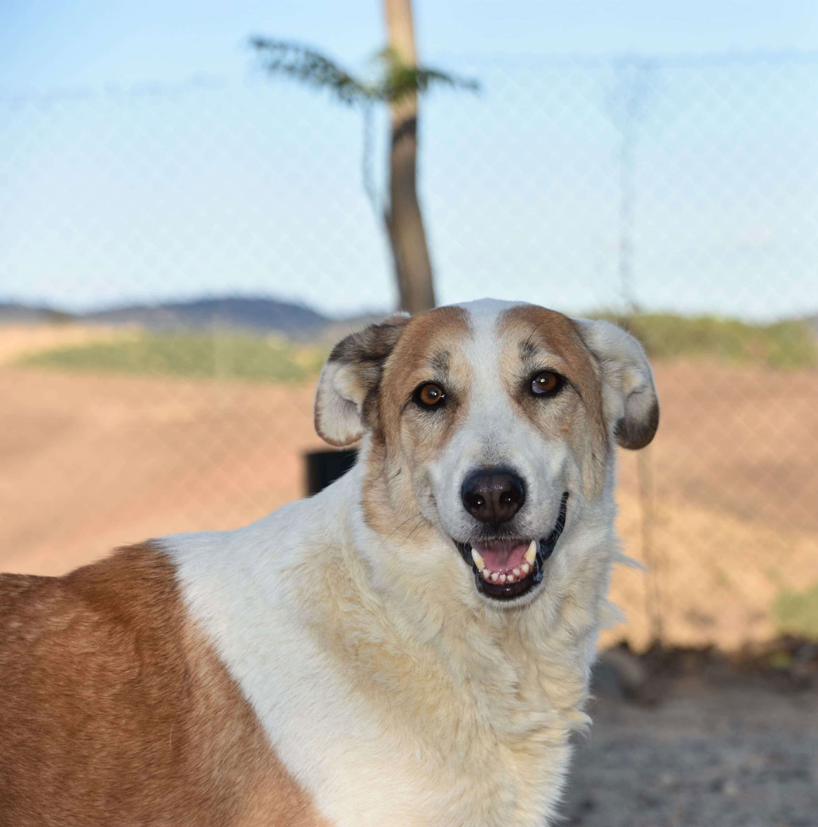 neues Foto November 2025