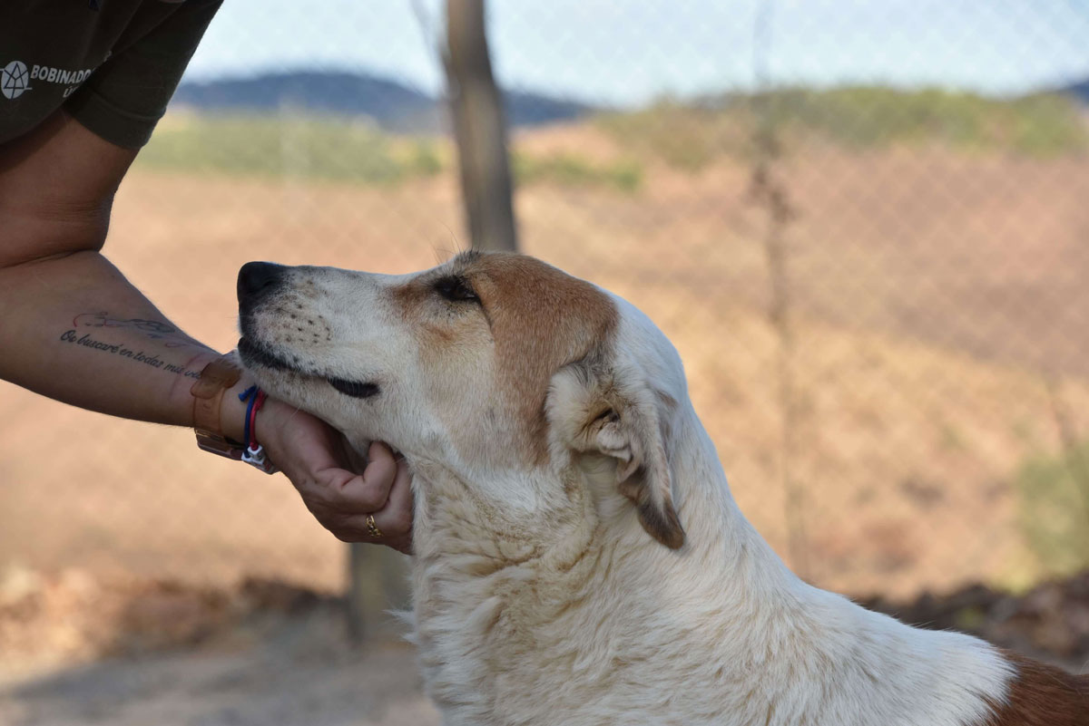 neues Foto November 2025