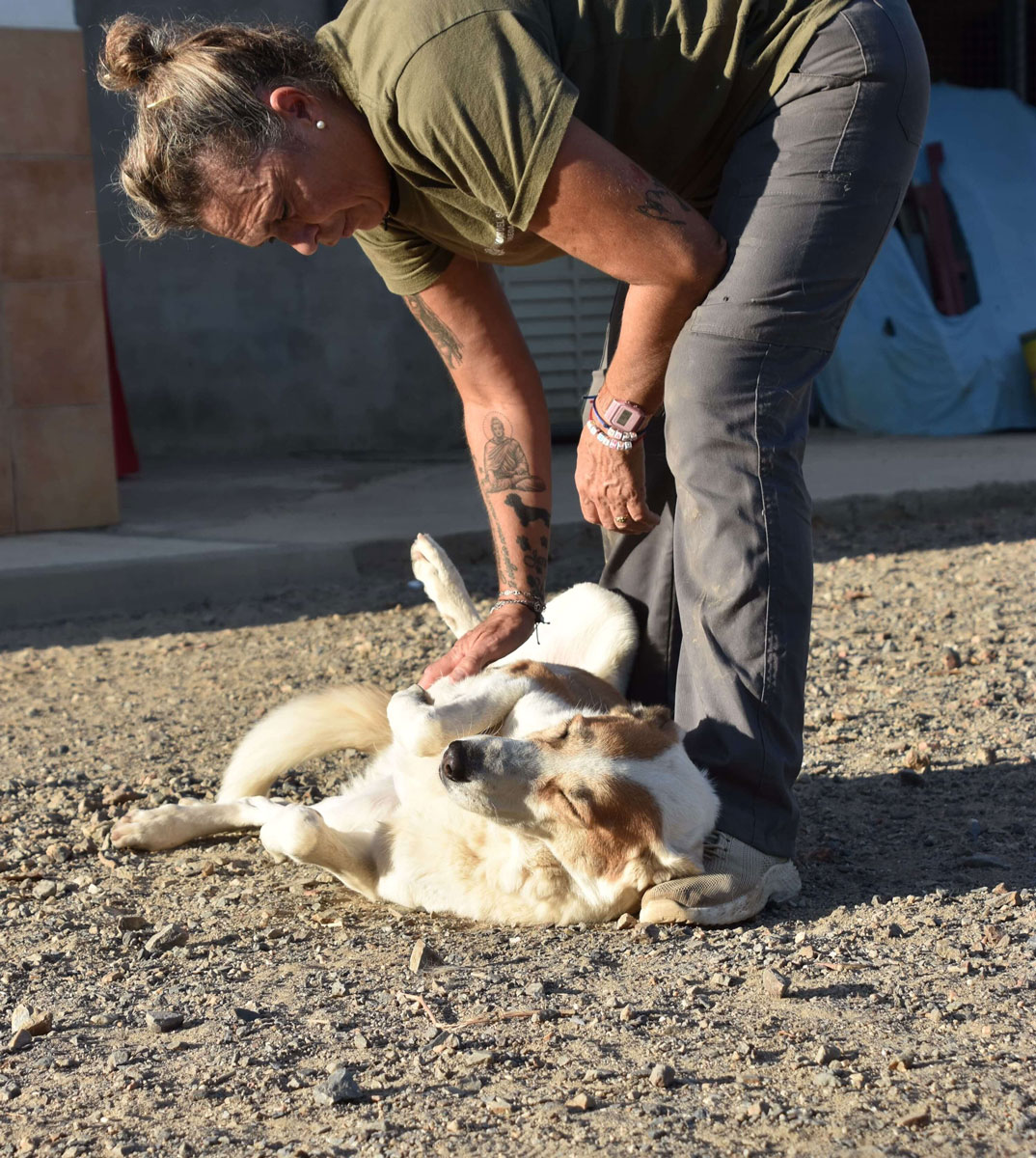 neues Foto November 2025