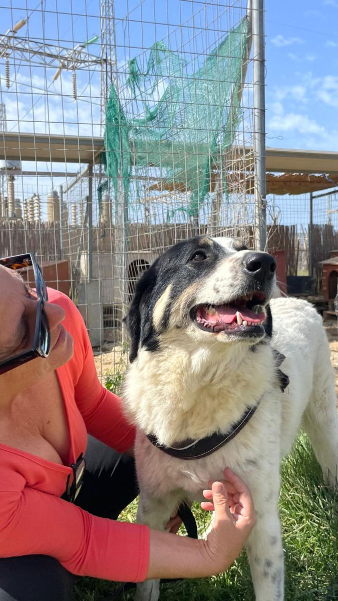 neues Foto November 2025 - Hera