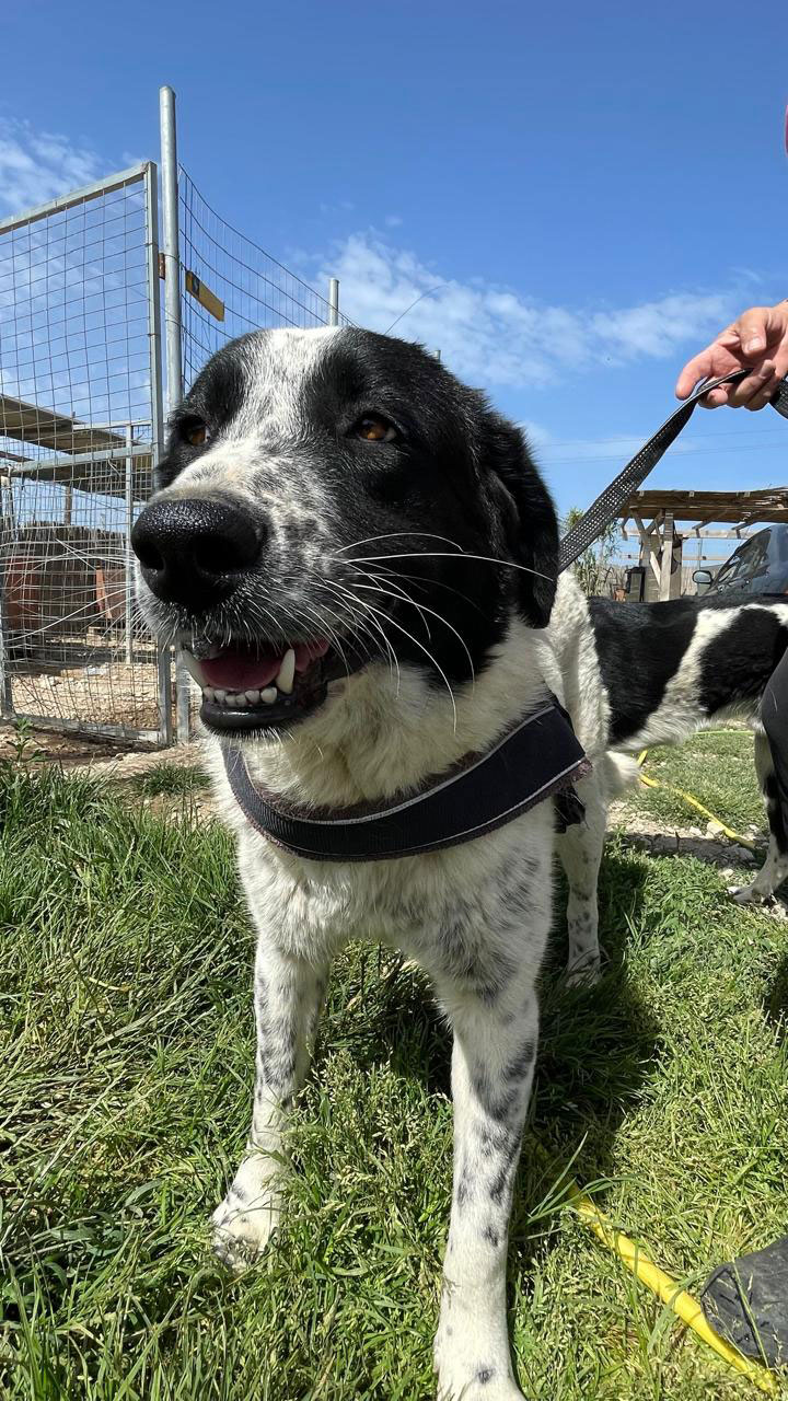 neues Foto November 2025 - Mata