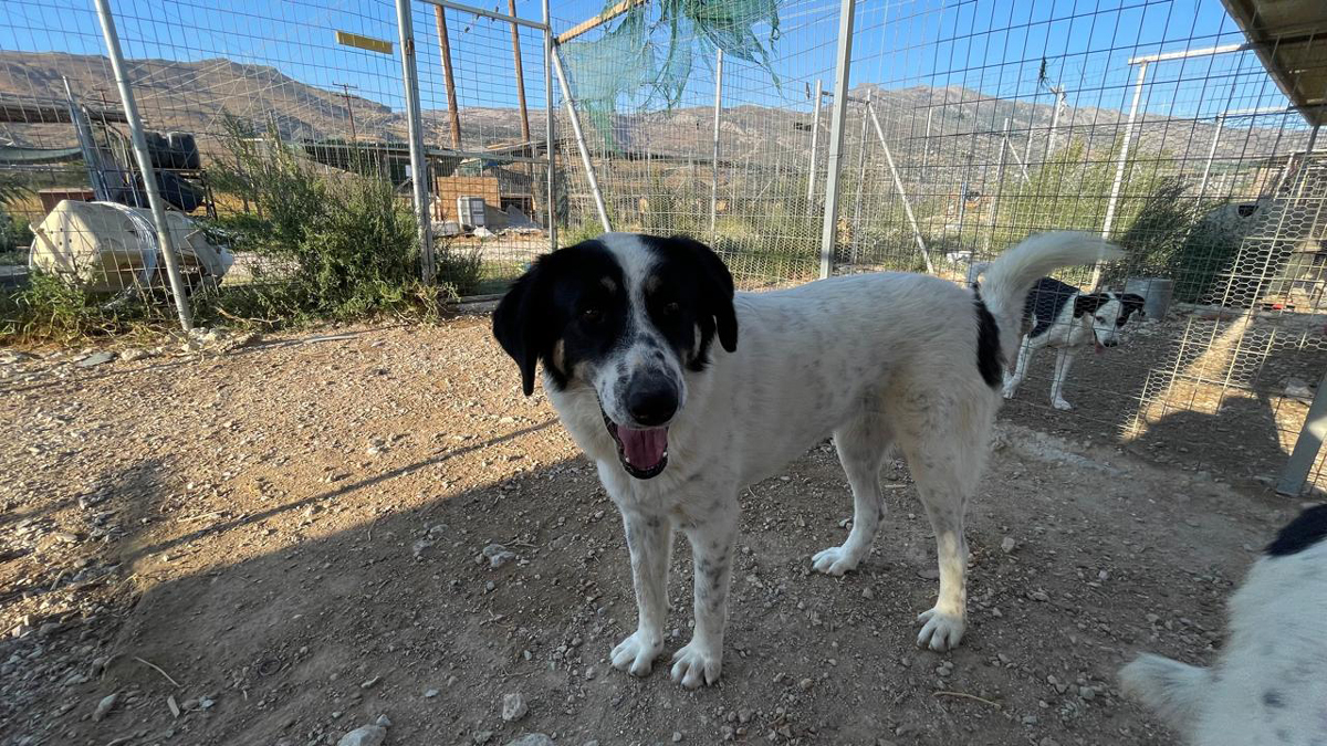 neues Foto November 2025 - Hera