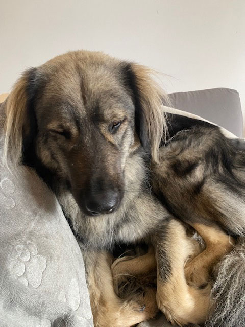 neues Foto November 2025