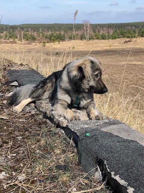 neues Foto November 2025