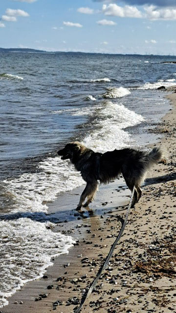 neues Foto November 2025