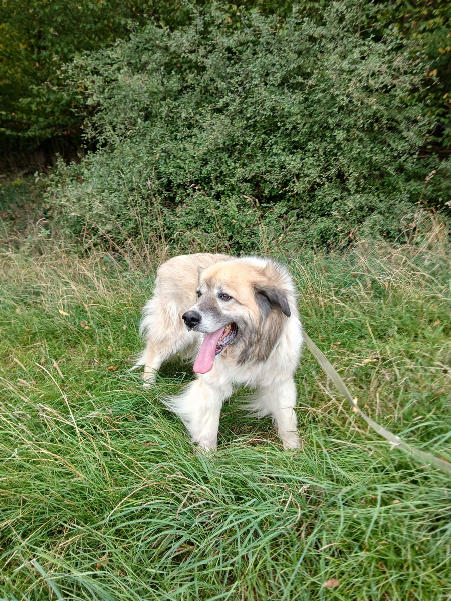 neues Foto November 2025