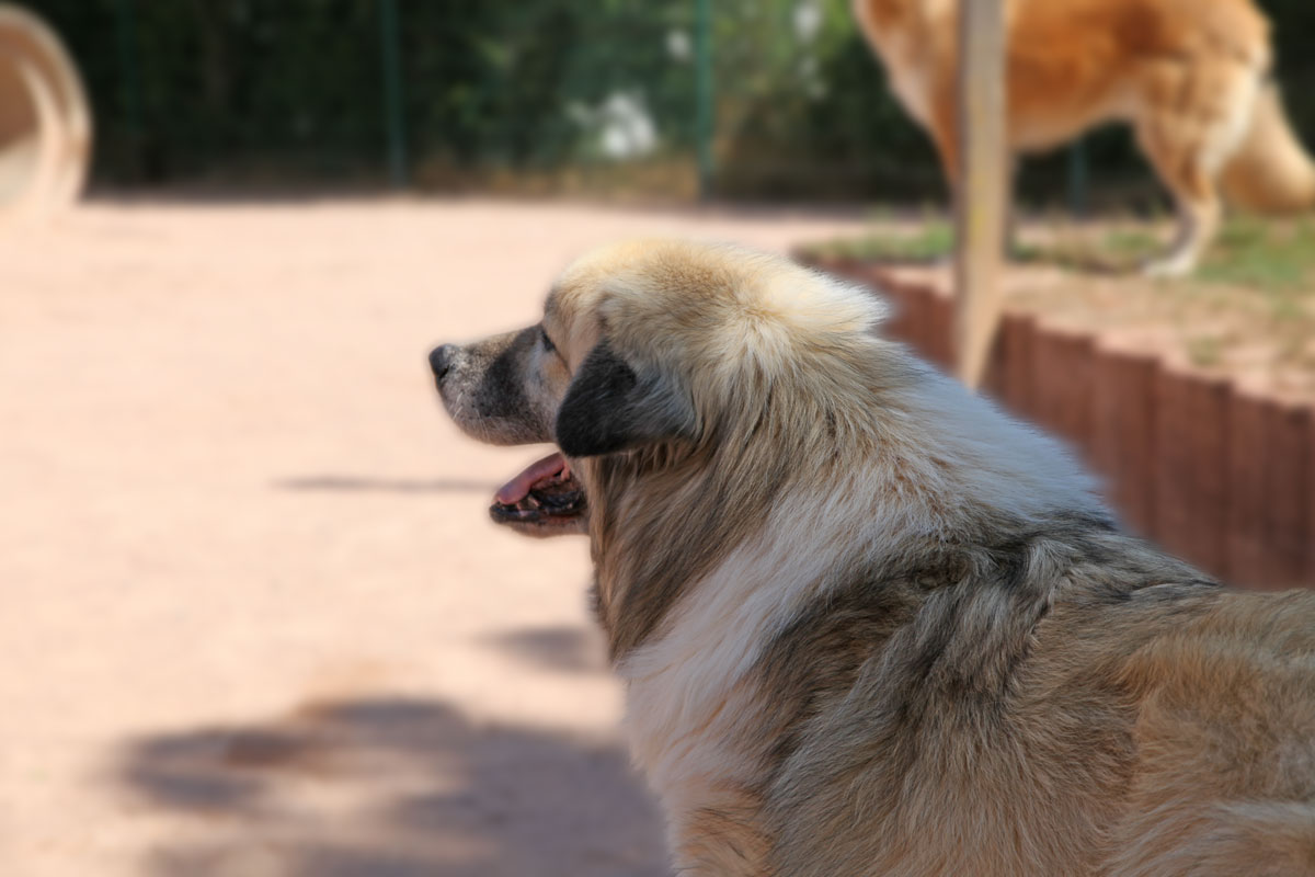 neues Foto November 2025