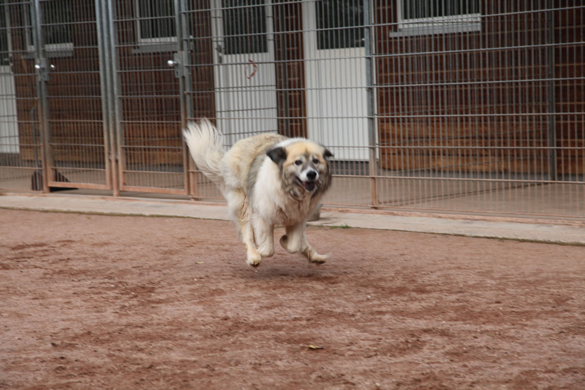 neues Foto November 2025