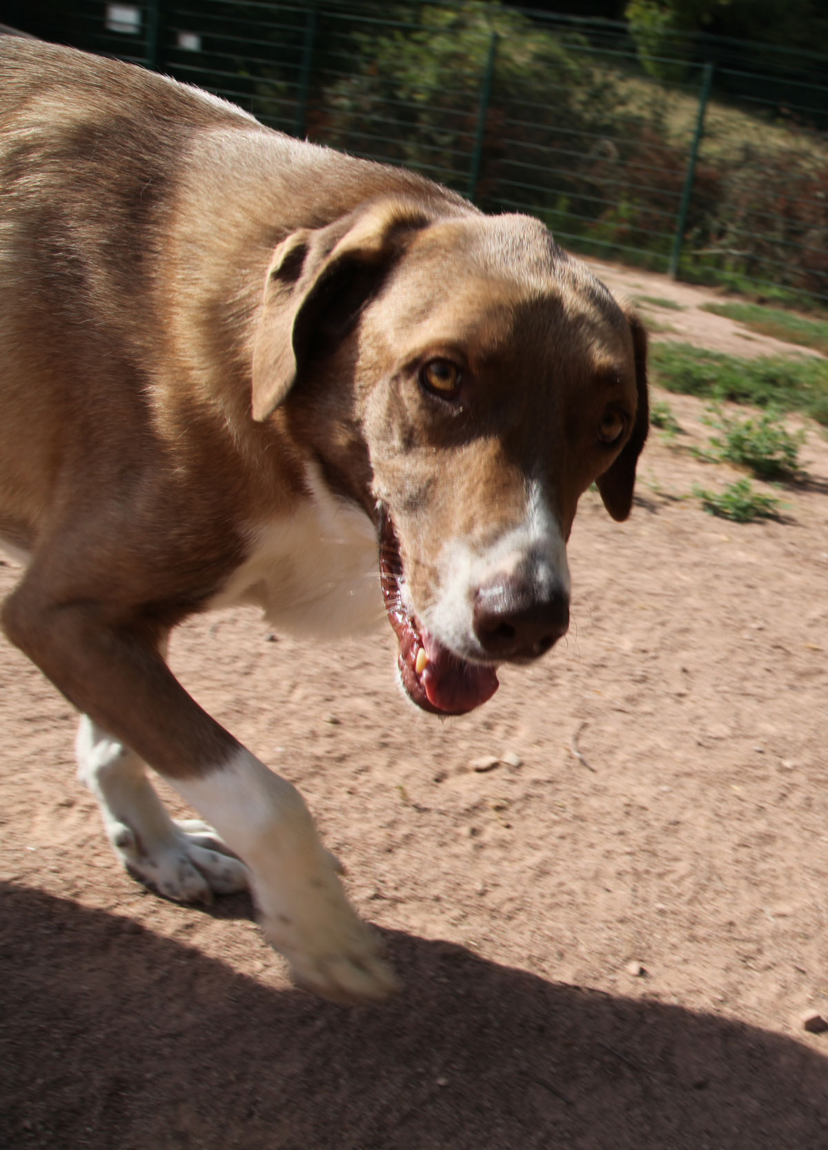 neues Foto November 2025