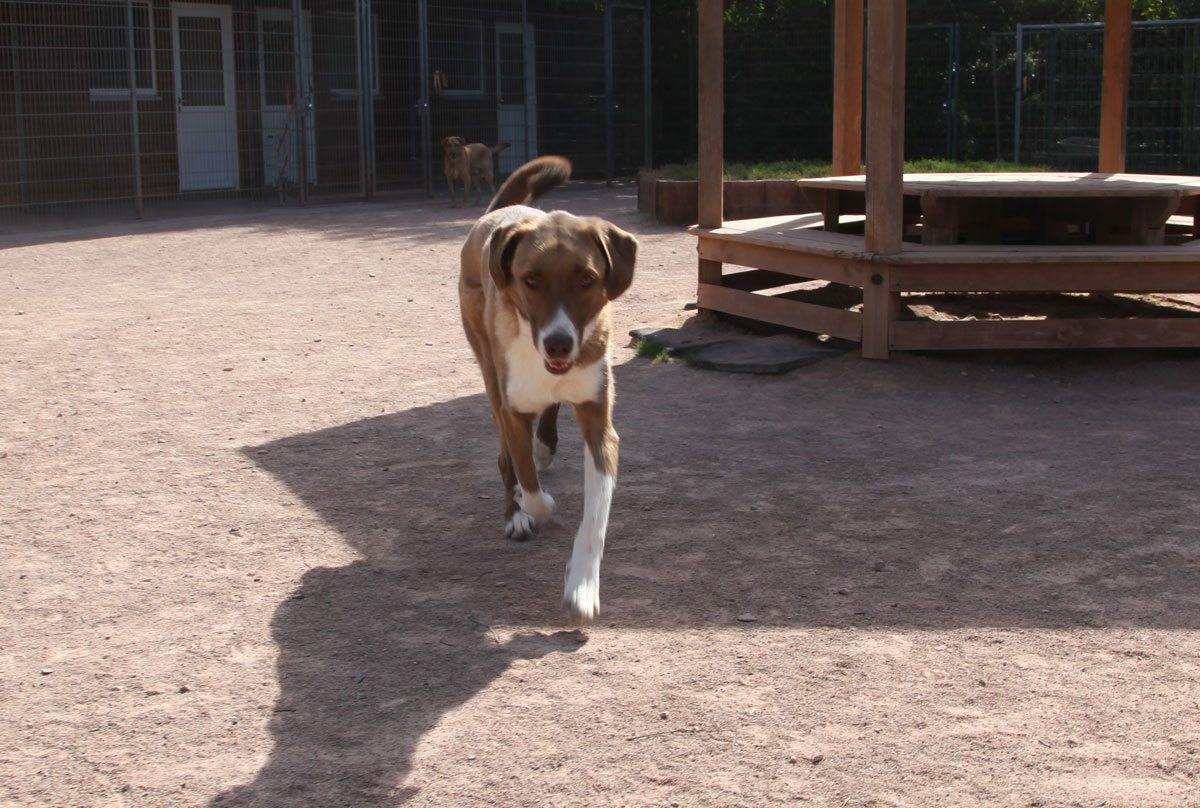 neues Foto November 2025