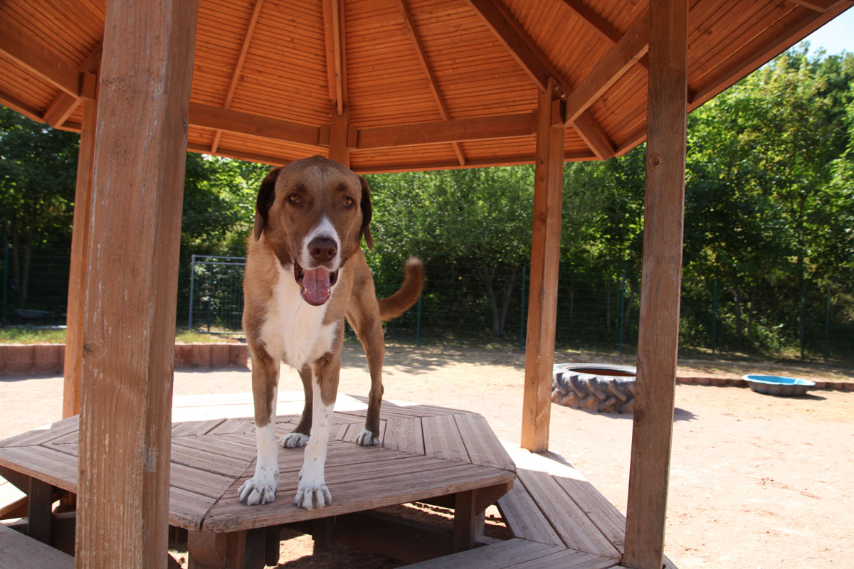 neues Foto November 2025