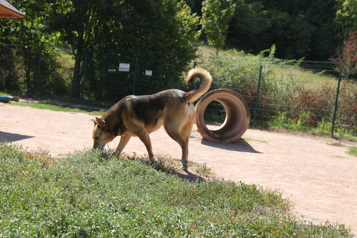 neues Foto November 2025