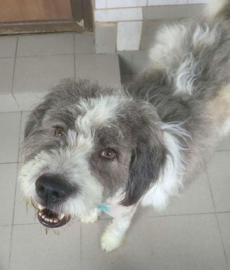 neues Foto November 2025