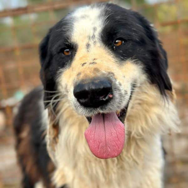 neues Foto November 2025