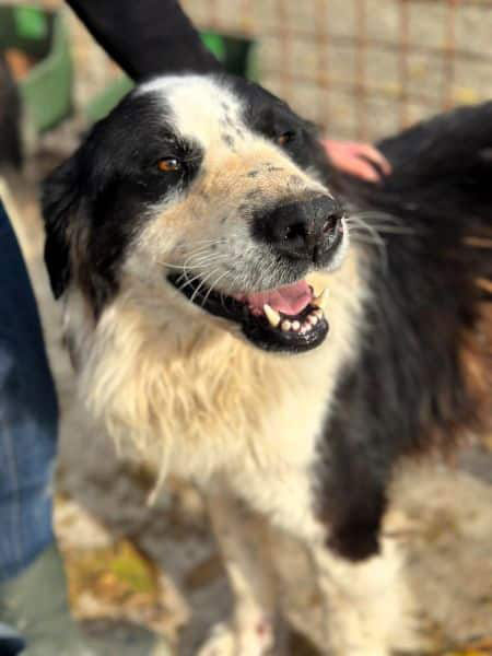 neues Foto November 2025