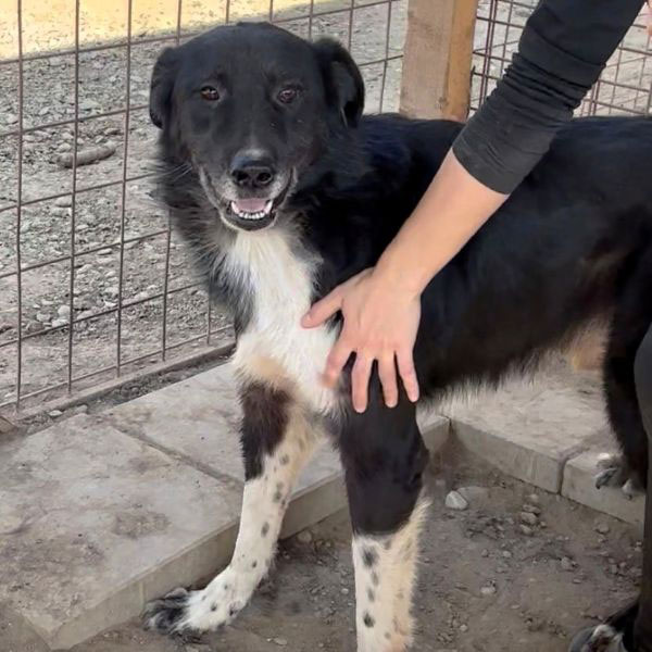 neues Foto November 2025