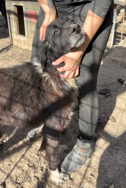 neues Foto November 2025