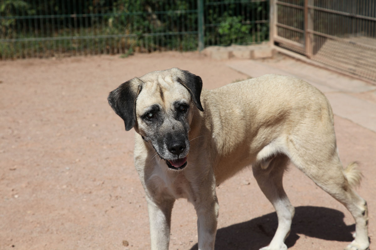 neues Foto November 2025