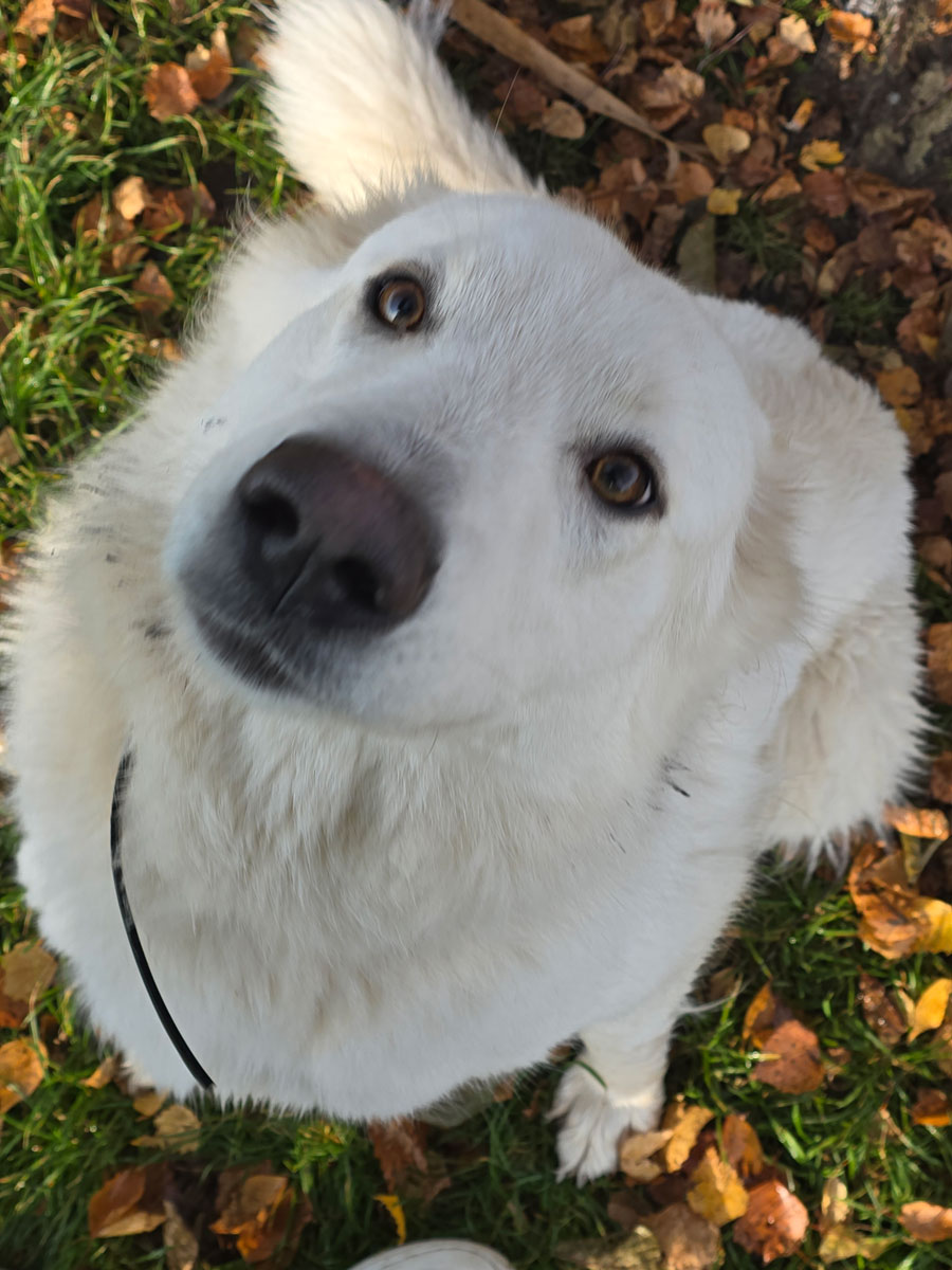 neues Foto November 2025