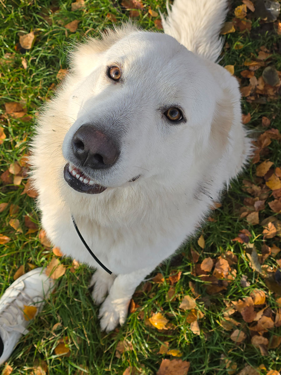 neues Foto November 2025