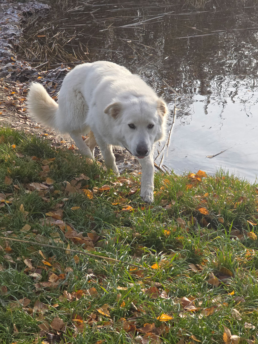 neues Foto November 2025