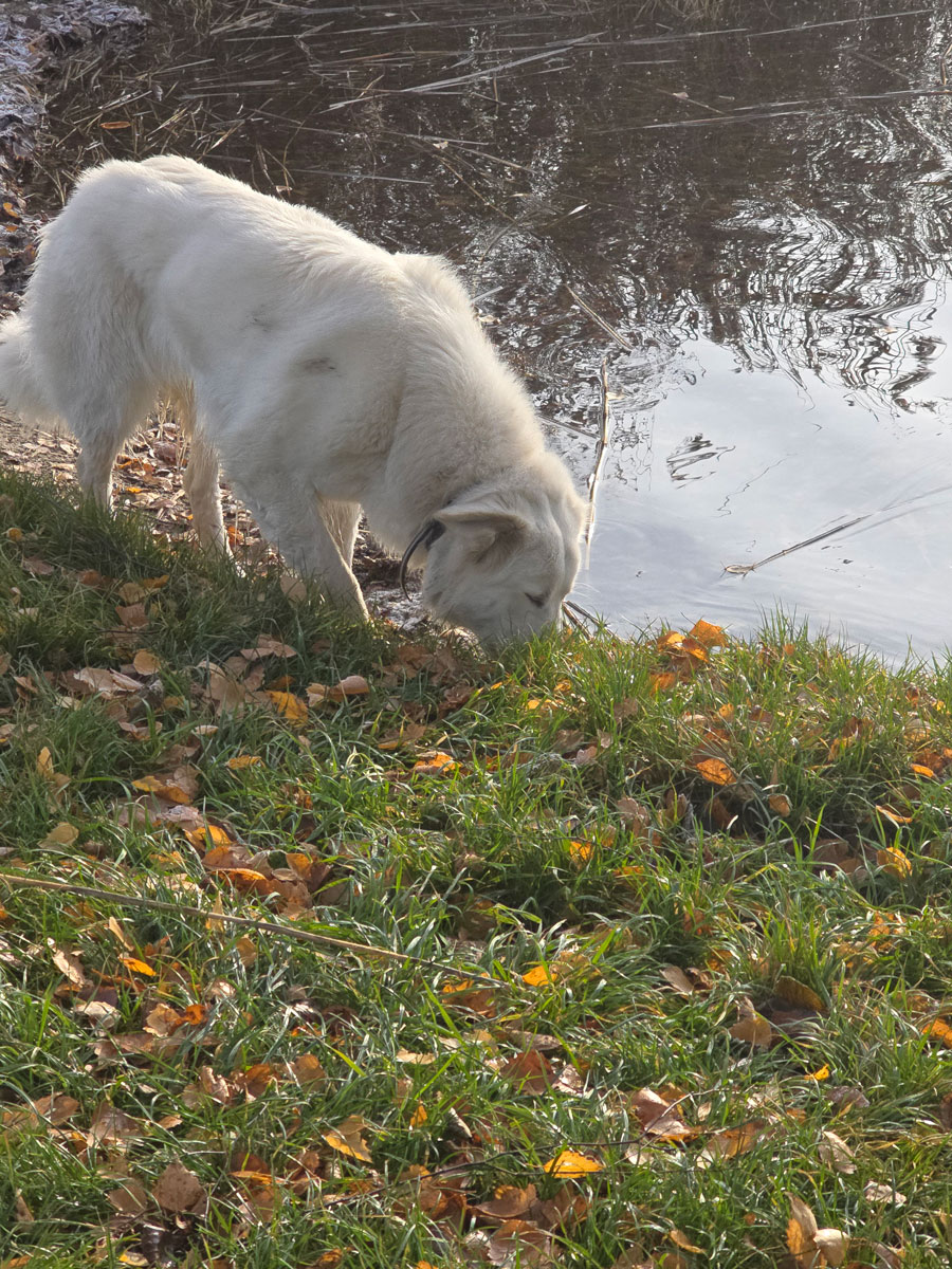 neues Foto November 2025