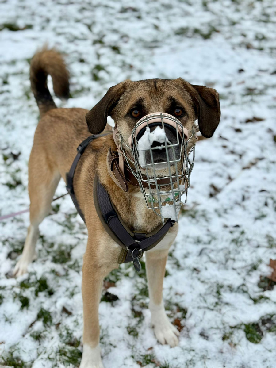 neues Foto November 2025