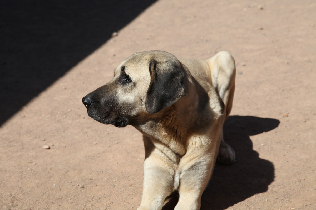 neues Foto November 2025