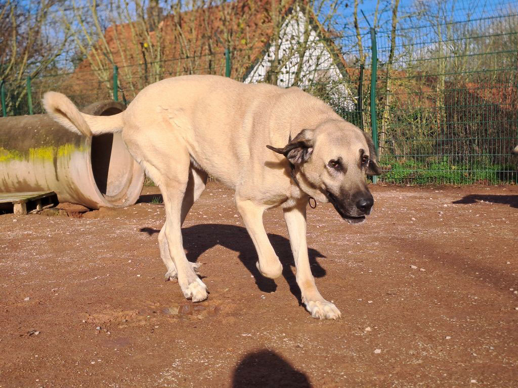 neues Foto November 2025