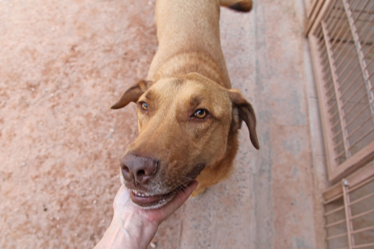 neues Foto November 2025