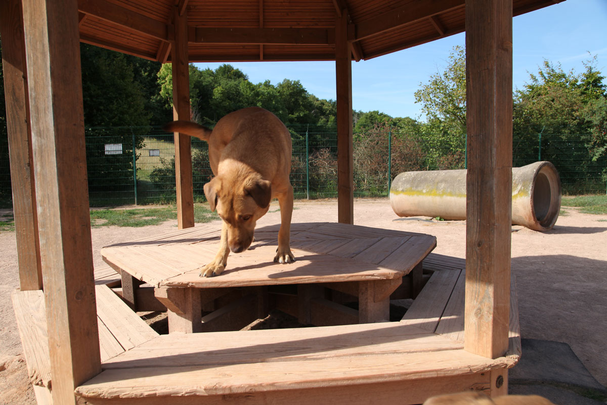 neues Foto November 2025