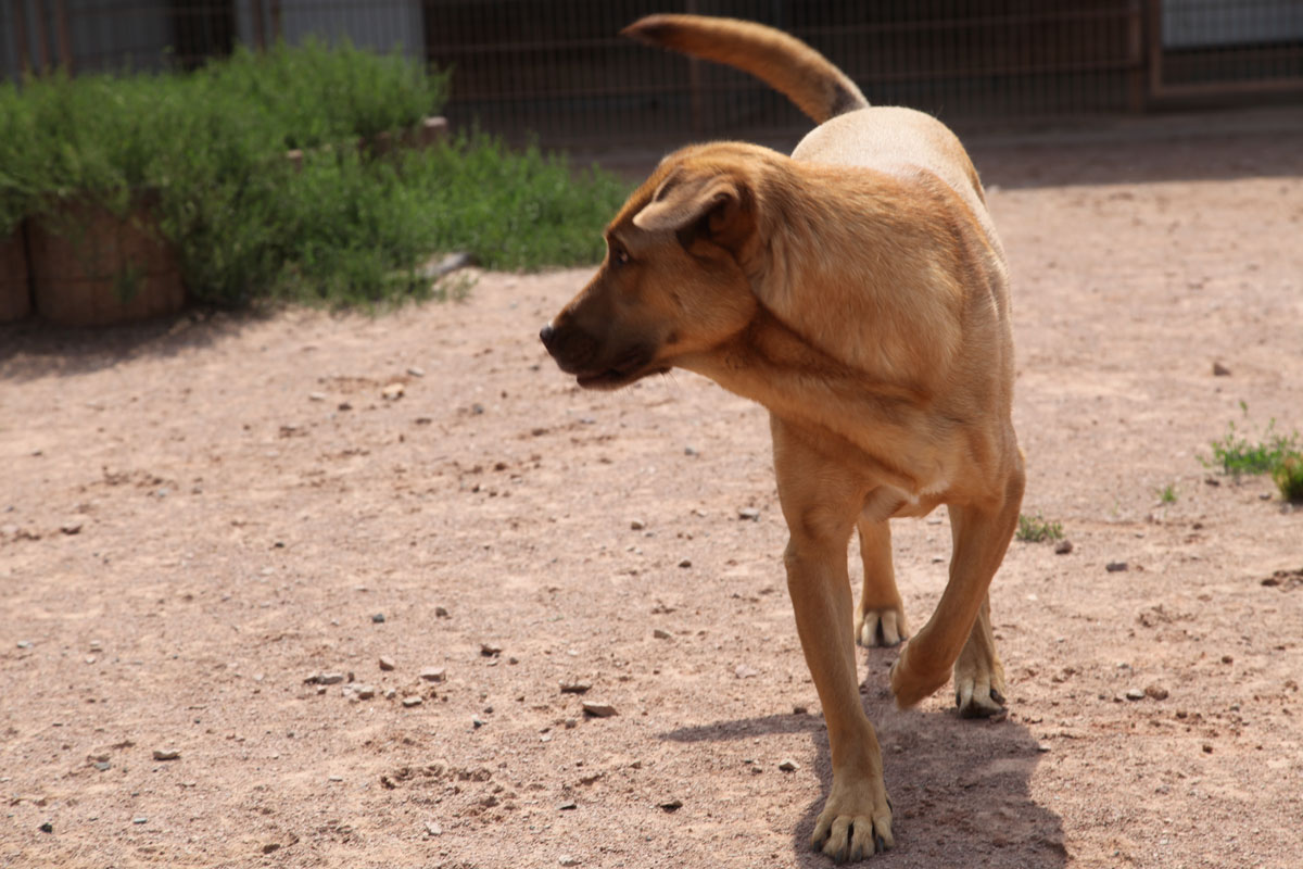 neues Foto November 2025