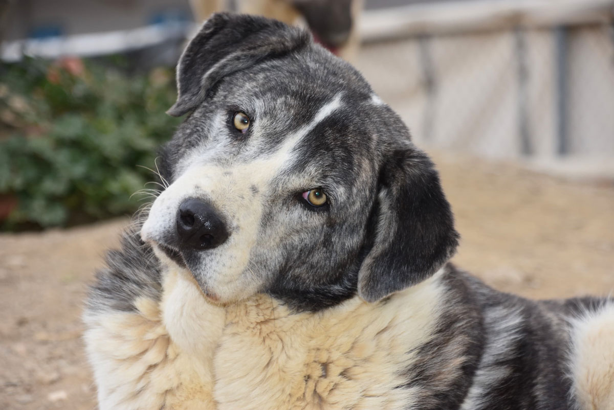 neues Foto November 2025