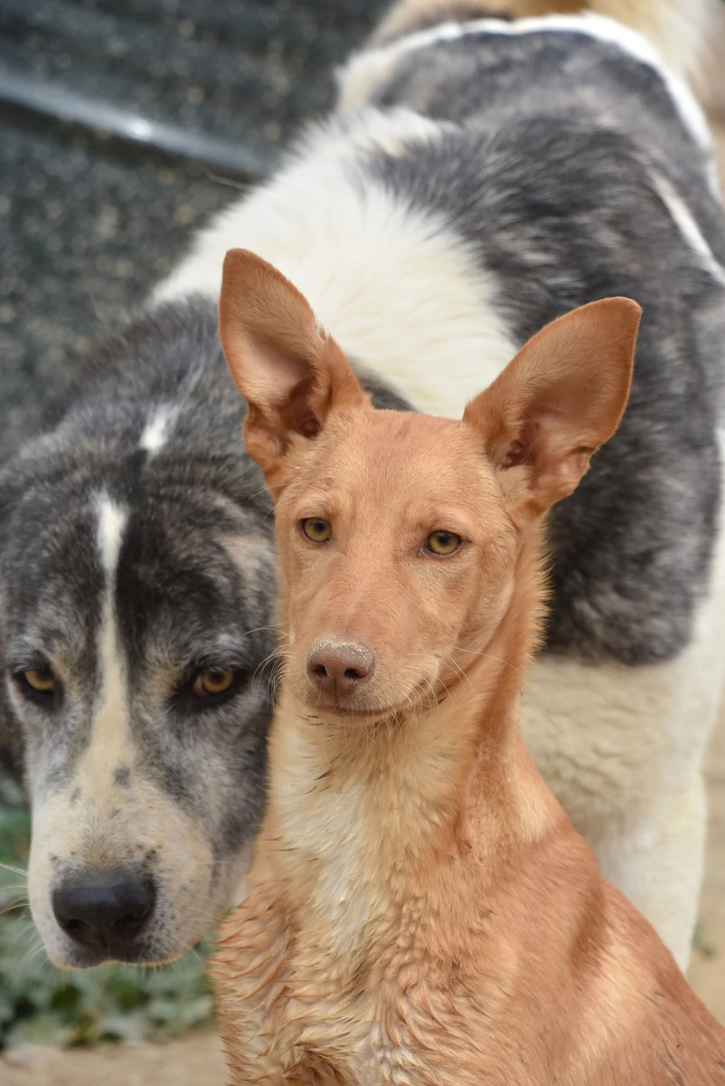 neues Foto November 2025