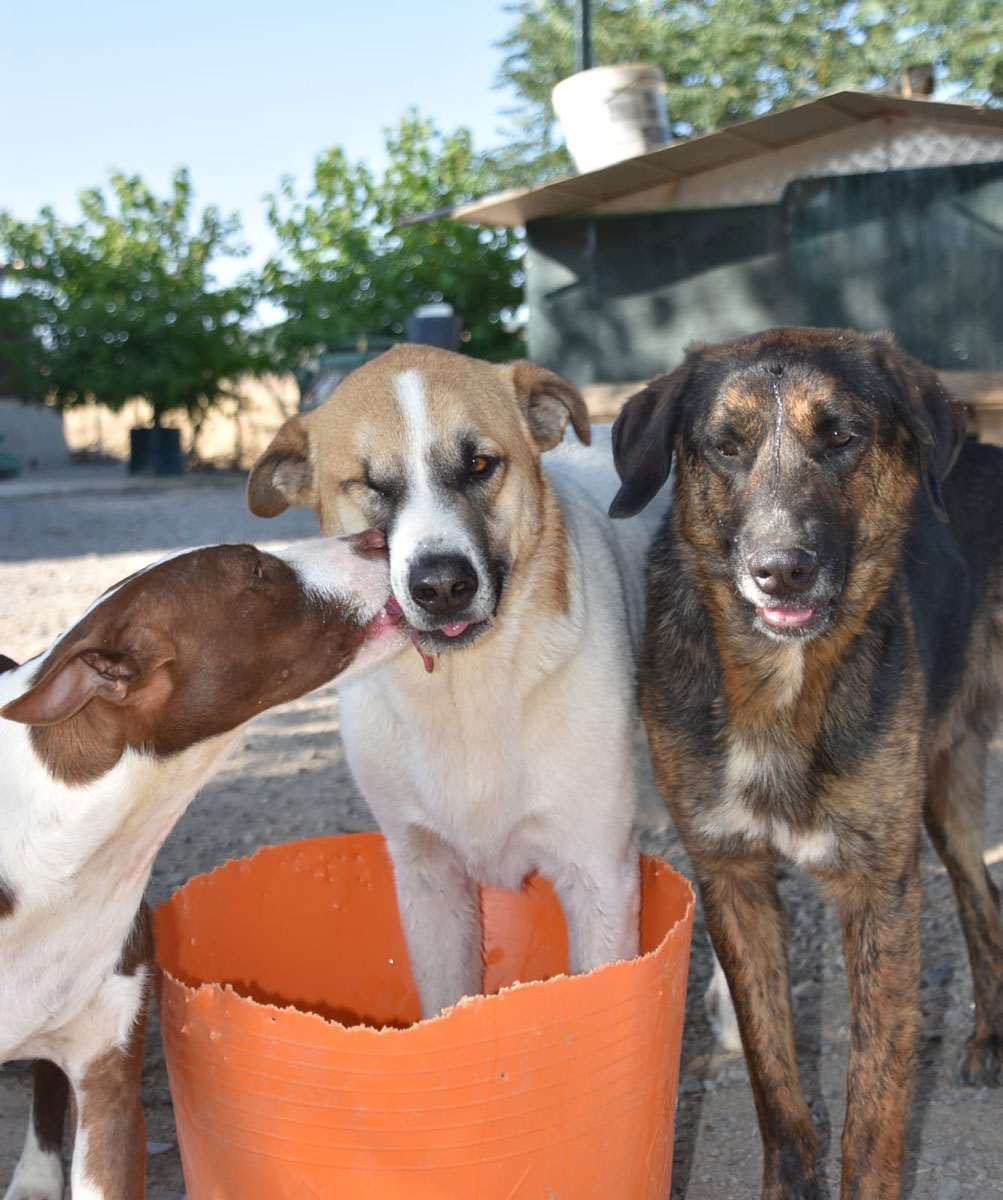 neues Foto November 2025