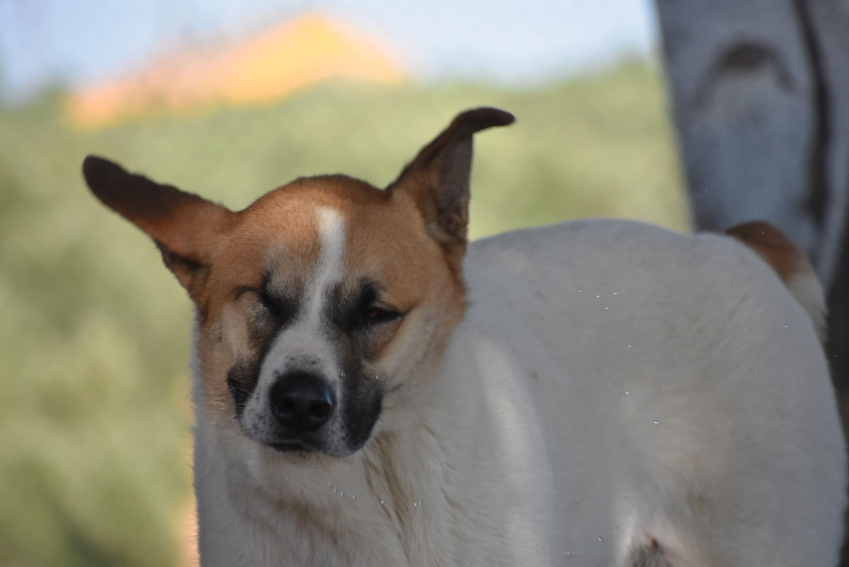 neues Foto November 2025