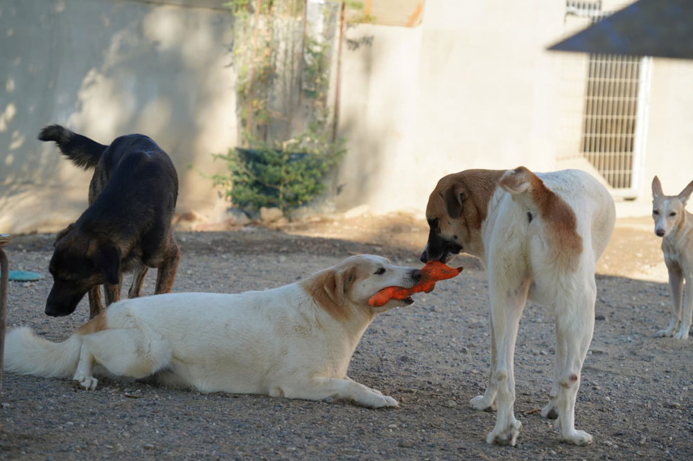 neues Foto November 2025