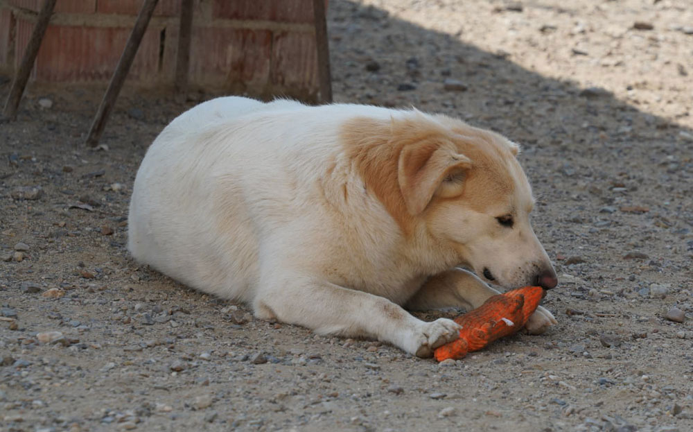 neues Foto November 2025