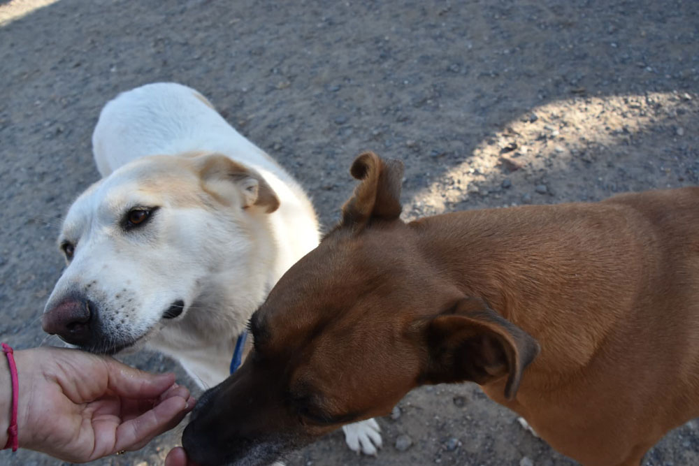 neues Foto November 2025