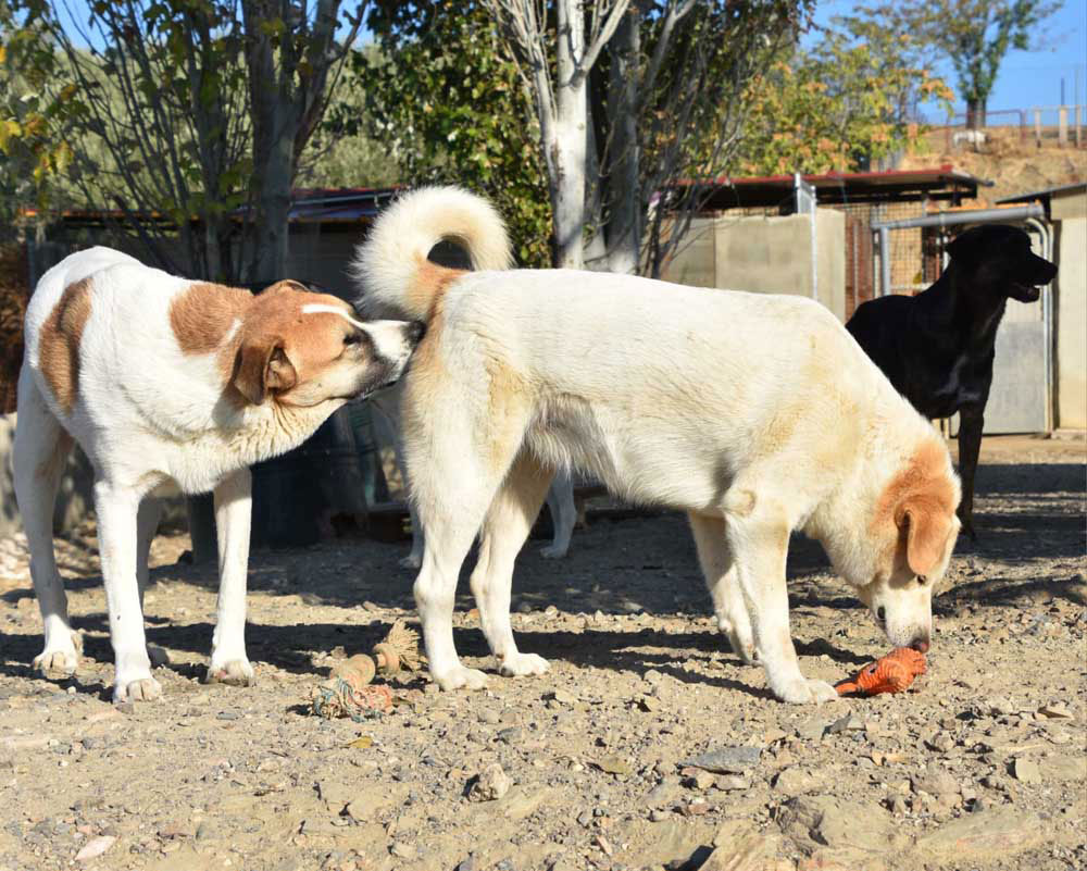 neues Foto November 2025