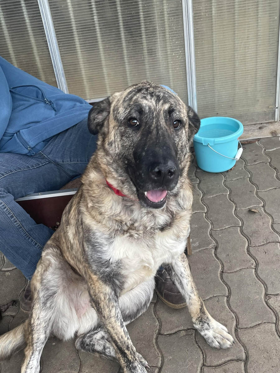 neues Foto November 2025