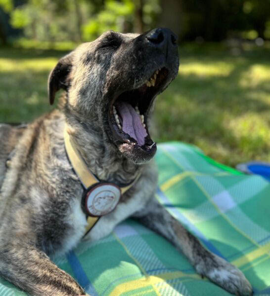 neues Foto November 2025