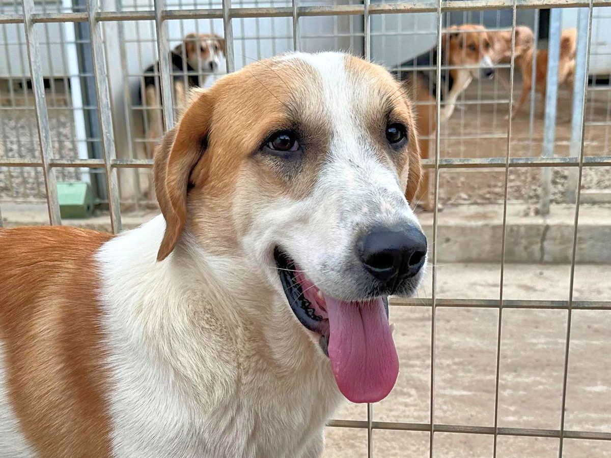 neues Foto November 2025 - VALENTINO