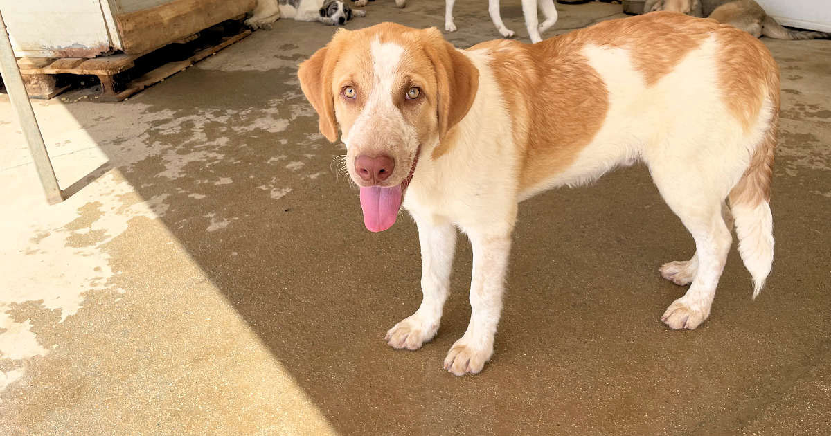 neues Foto November 2025 - VALERIANO