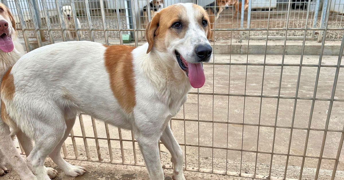 neues Foto November 2025 - VALENTINO