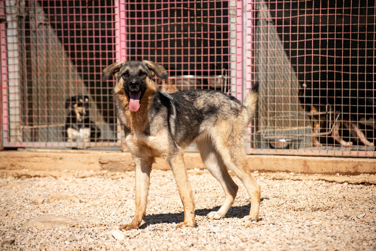  neues Foto November 2025