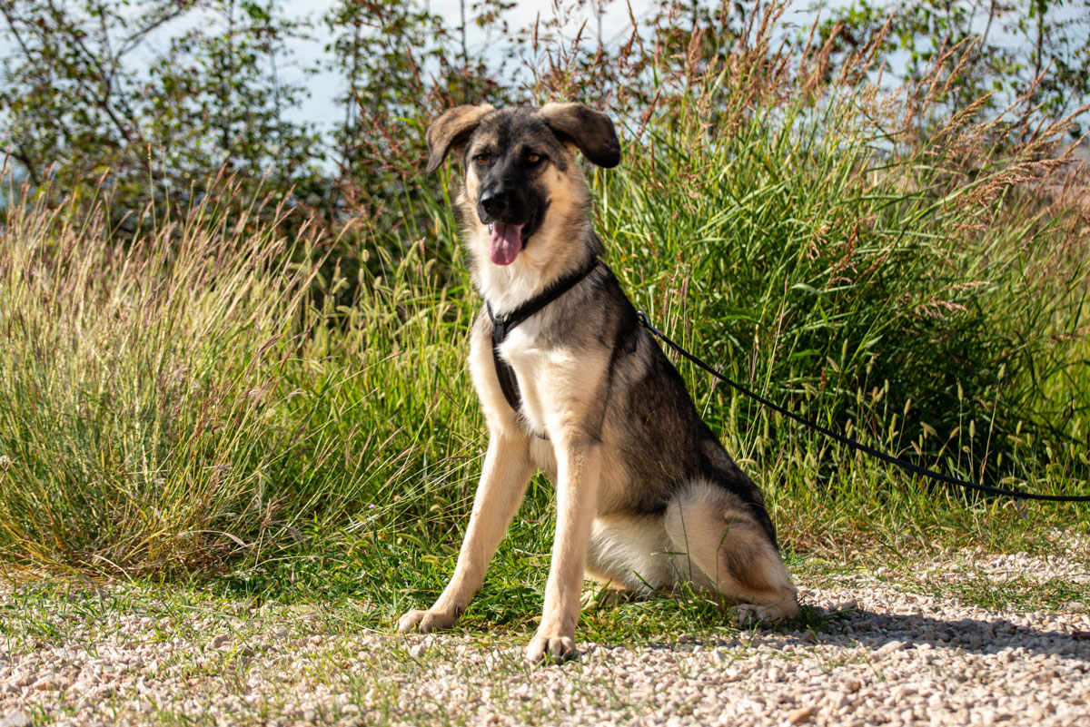 neues Foto November 2025