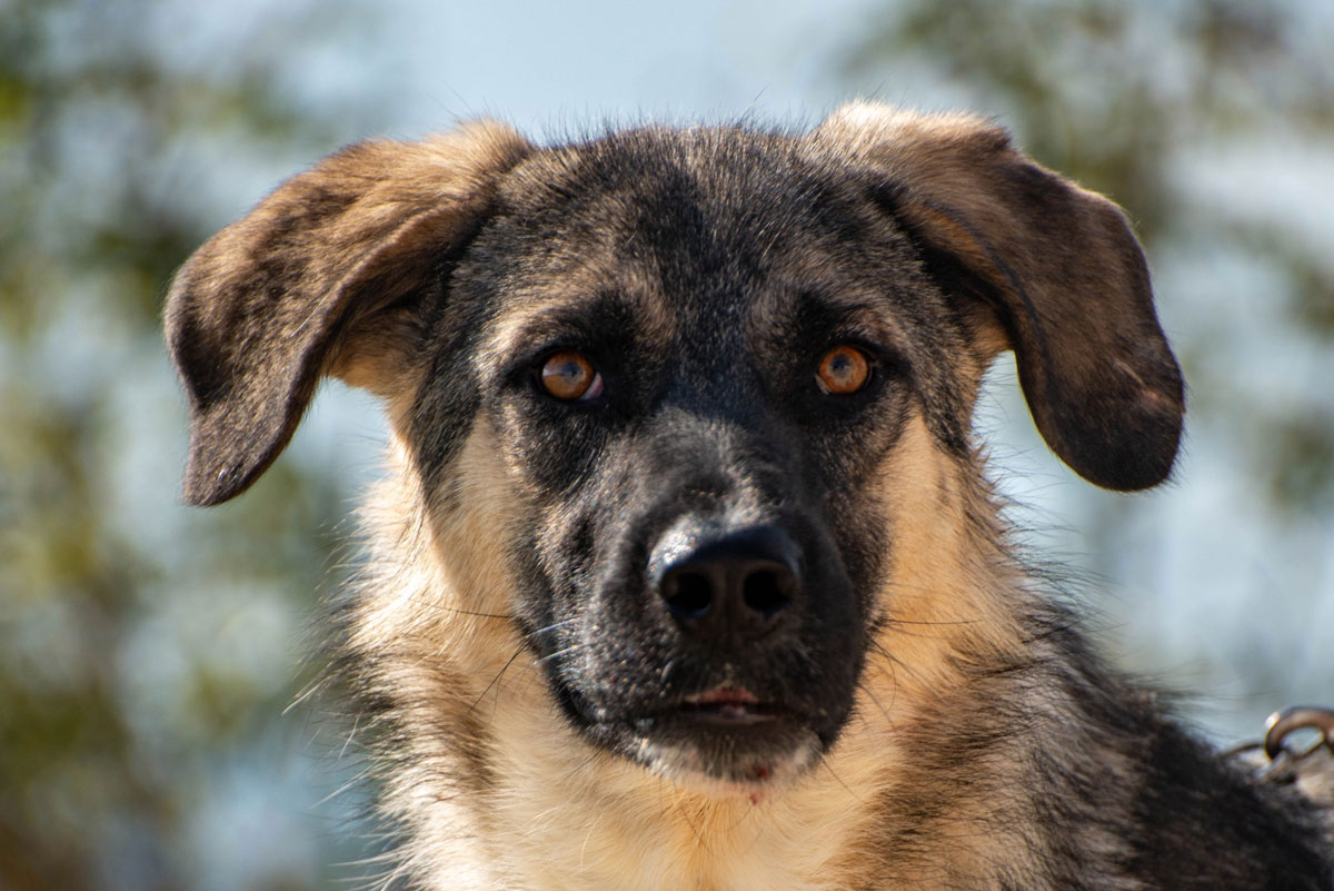 neues Foto November 2025