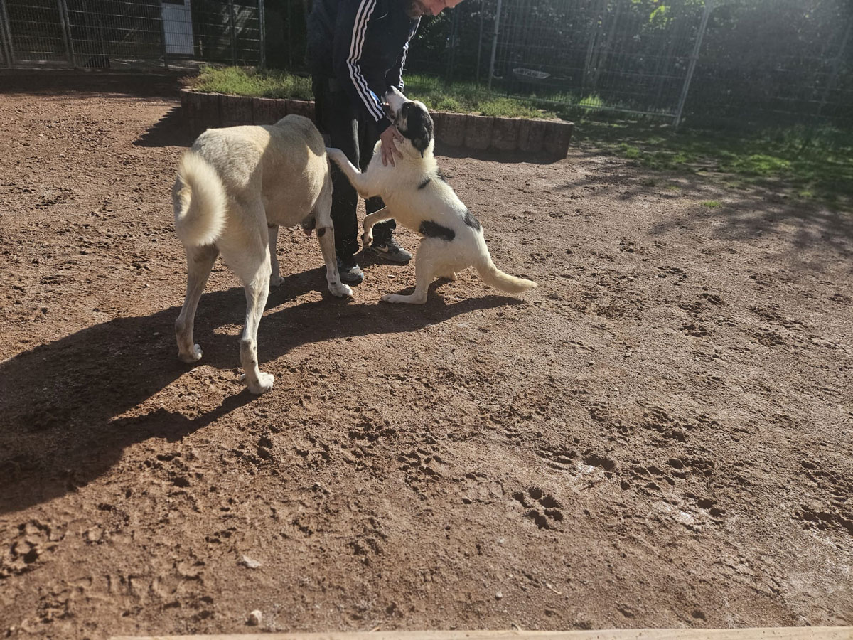 neues Foto November 2025